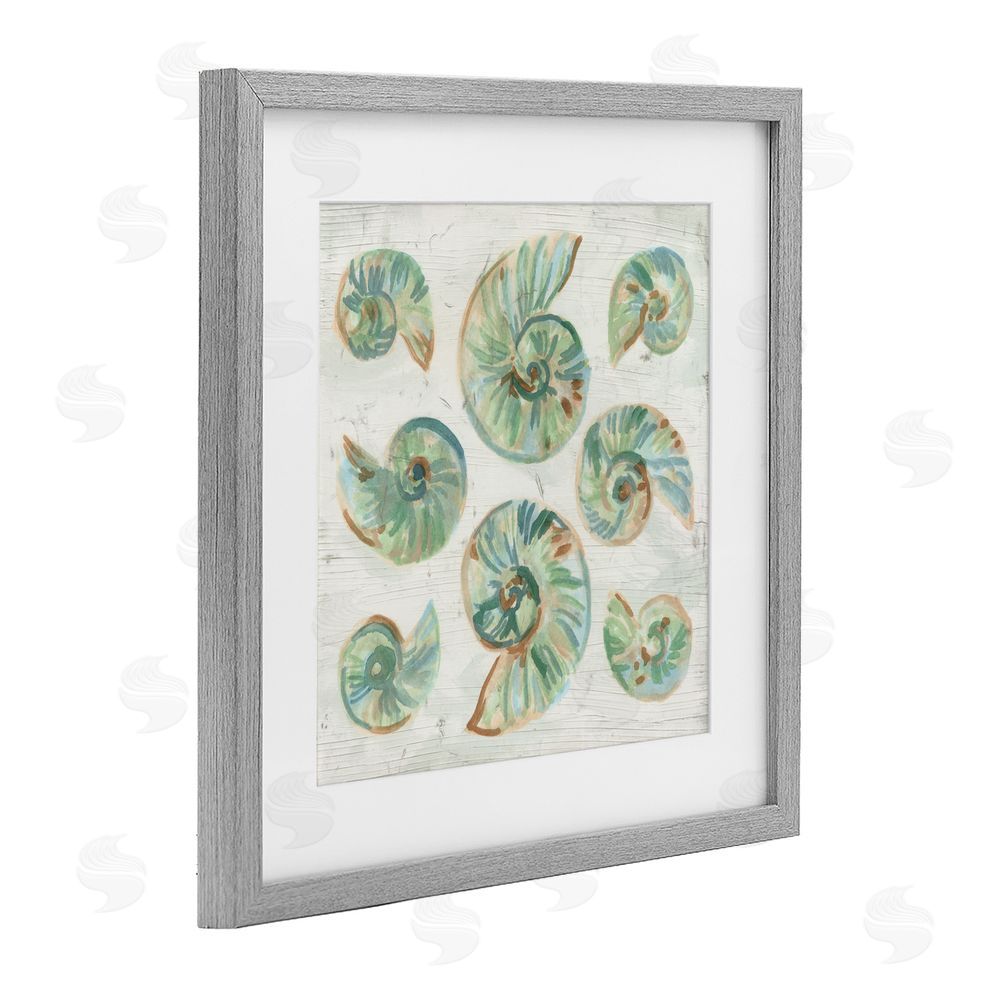 June Erica Vess Organic Saltwashed Shells Gray Framed Print Under Glass Wall Art