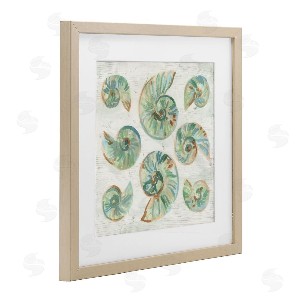 June Erica Vess Organic Saltwashed Shells Brown Framed Print Under Glass Wall Art