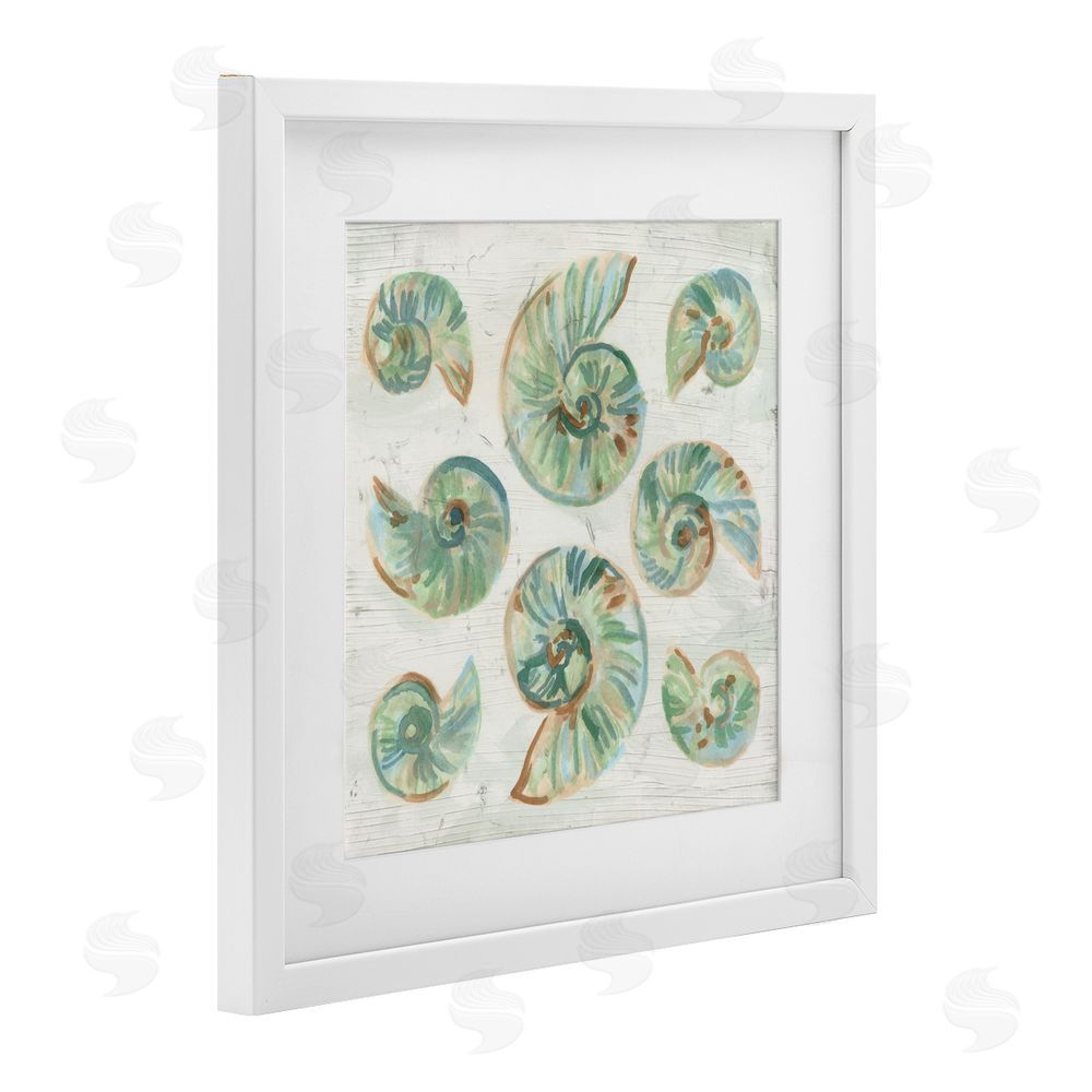 June Erica Vess Organic Saltwashed Shells White Framed Print Under Glass Wall Art