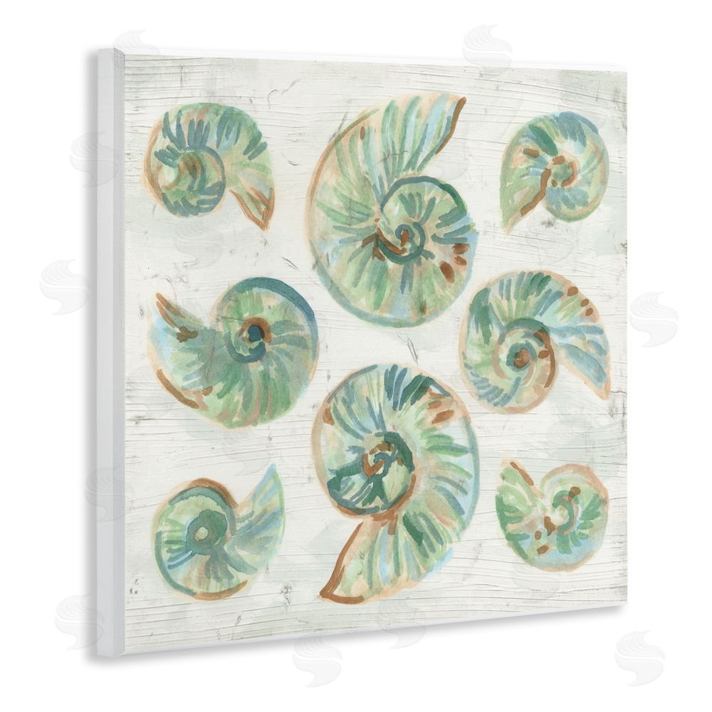 June Erica Vess Organic Saltwashed Shells Wall Plaque Art Print