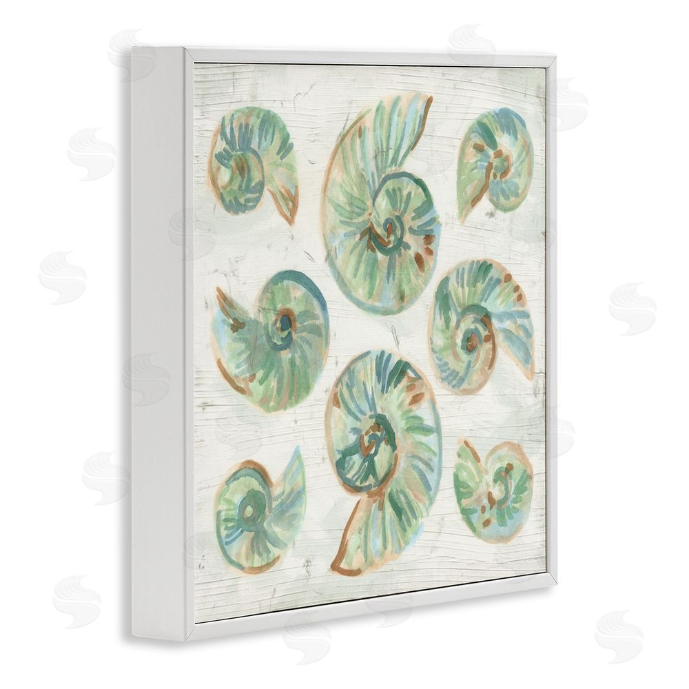 June Erica Vess Organic Saltwashed Shells White Framed Giclee Wall Art Print