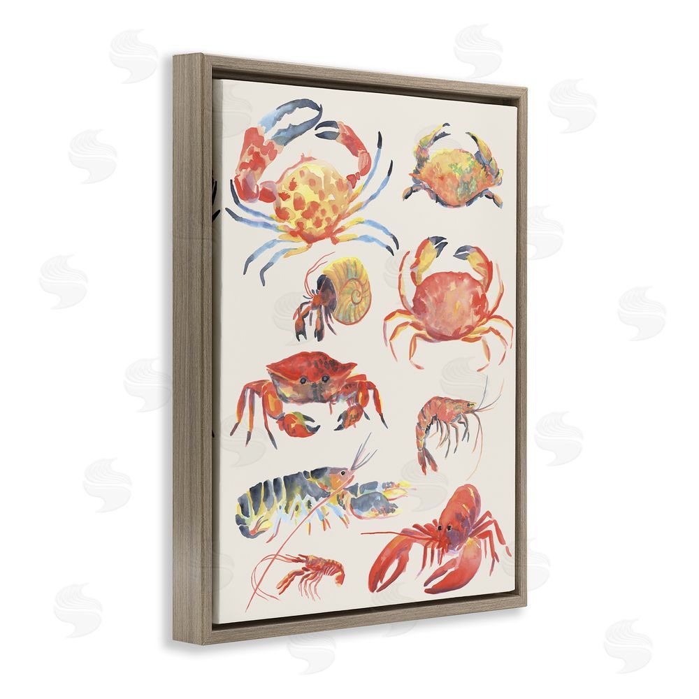 June Erica Vess Nautical Crustacean Collection Brown Floating Frame Canvas Wall Art Print
