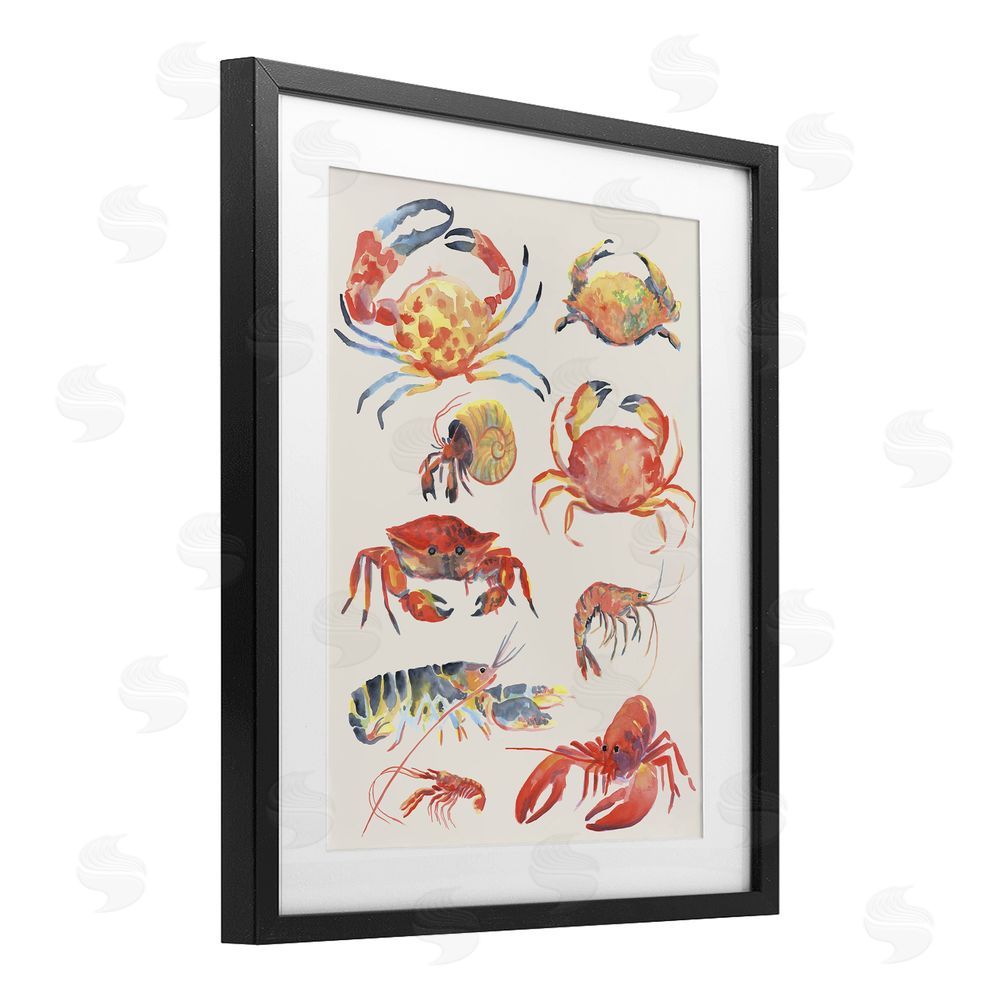 June Erica Vess Nautical Crustacean Collection Black Framed Print Under Glass Wall Art