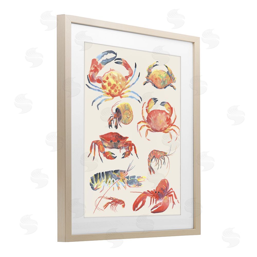 June Erica Vess Nautical Crustacean Collection Brown Framed Print Under Glass Wall Art