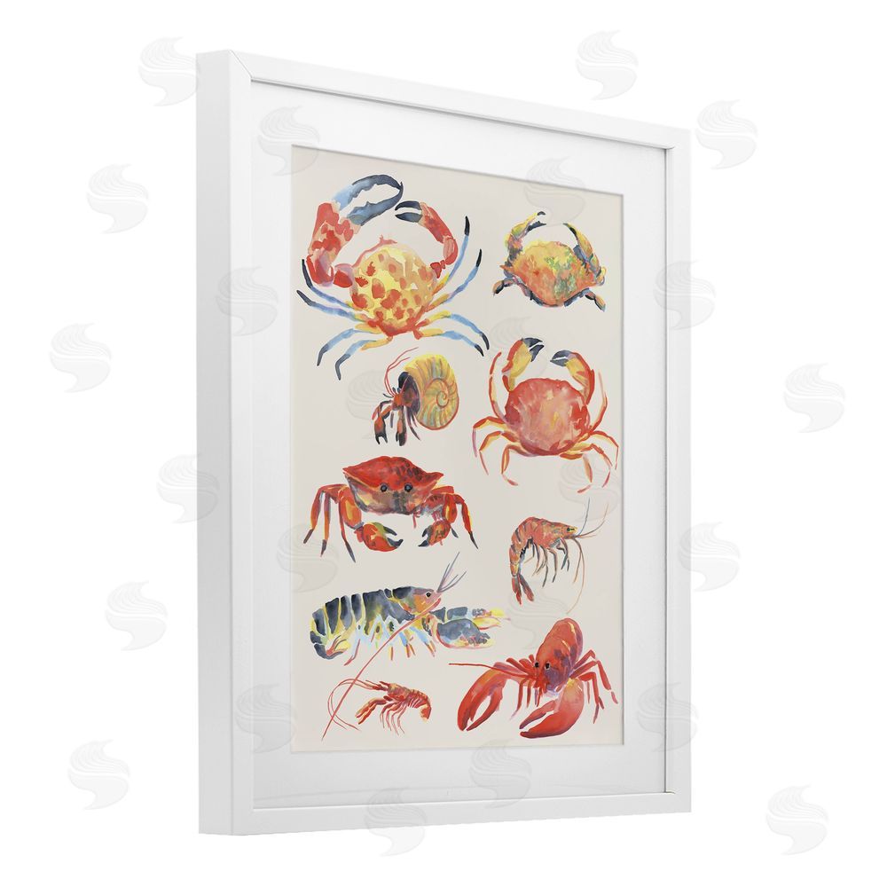 June Erica Vess Nautical Crustacean Collection White Framed Print Under Glass Wall Art