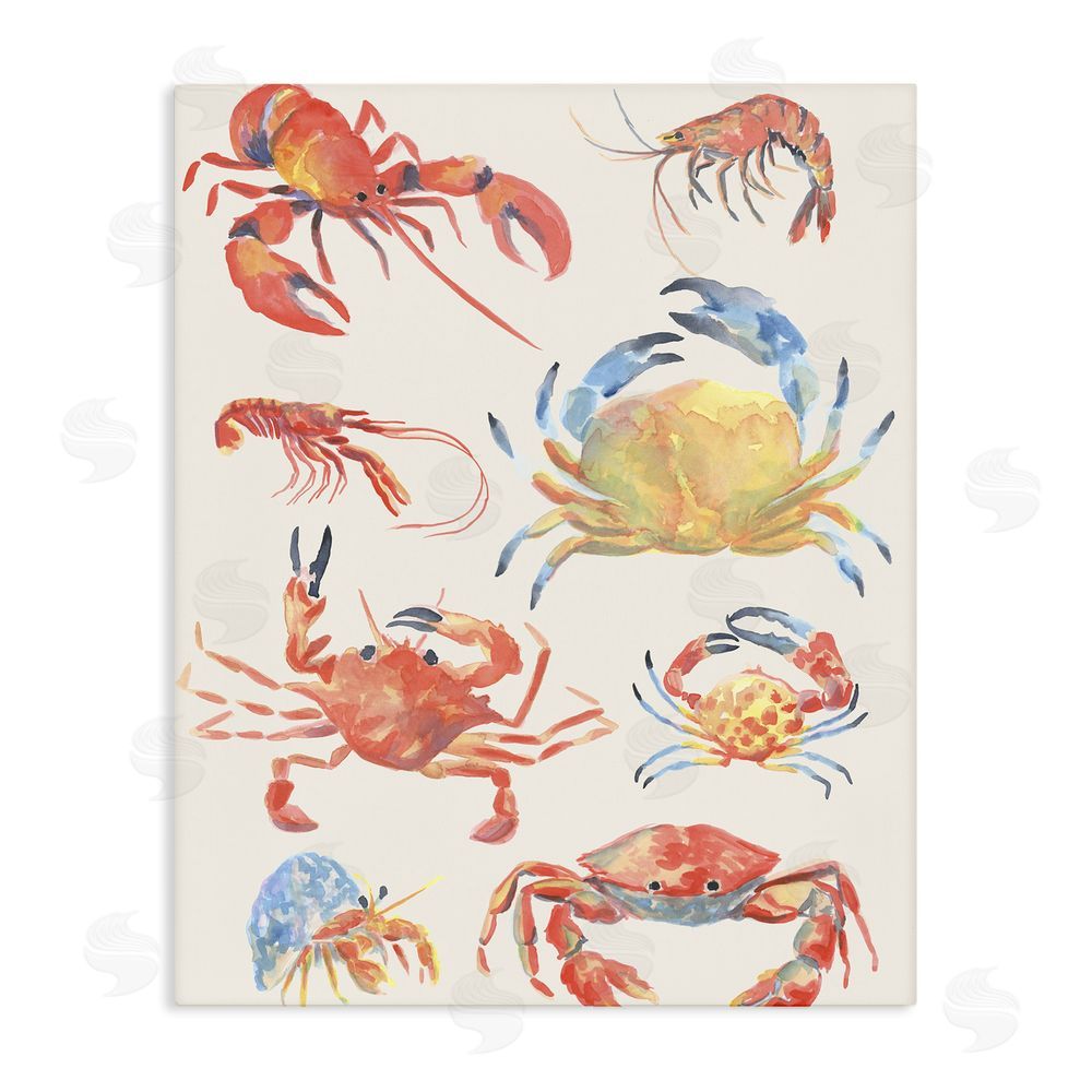 June Erica Vess Crab & Crustacean Collection Stretched Canvas Wall Art Print
