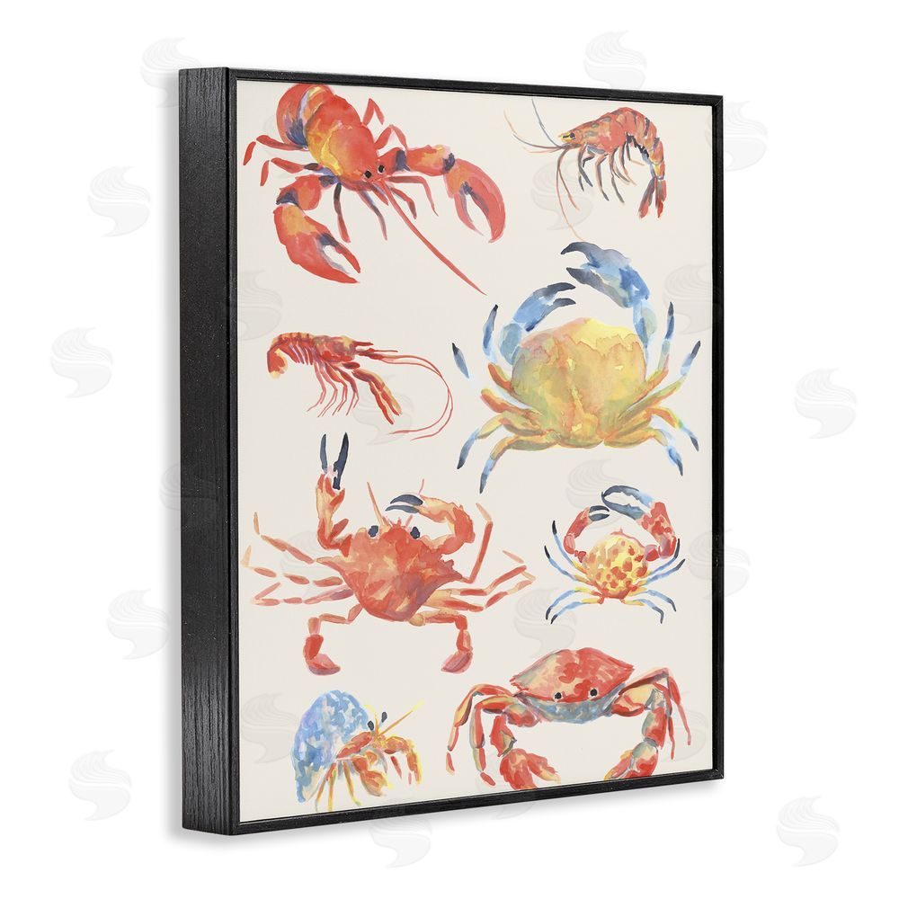 June Erica Vess Crab & Crustacean Collection Black Framed Giclee Wall Art Print
