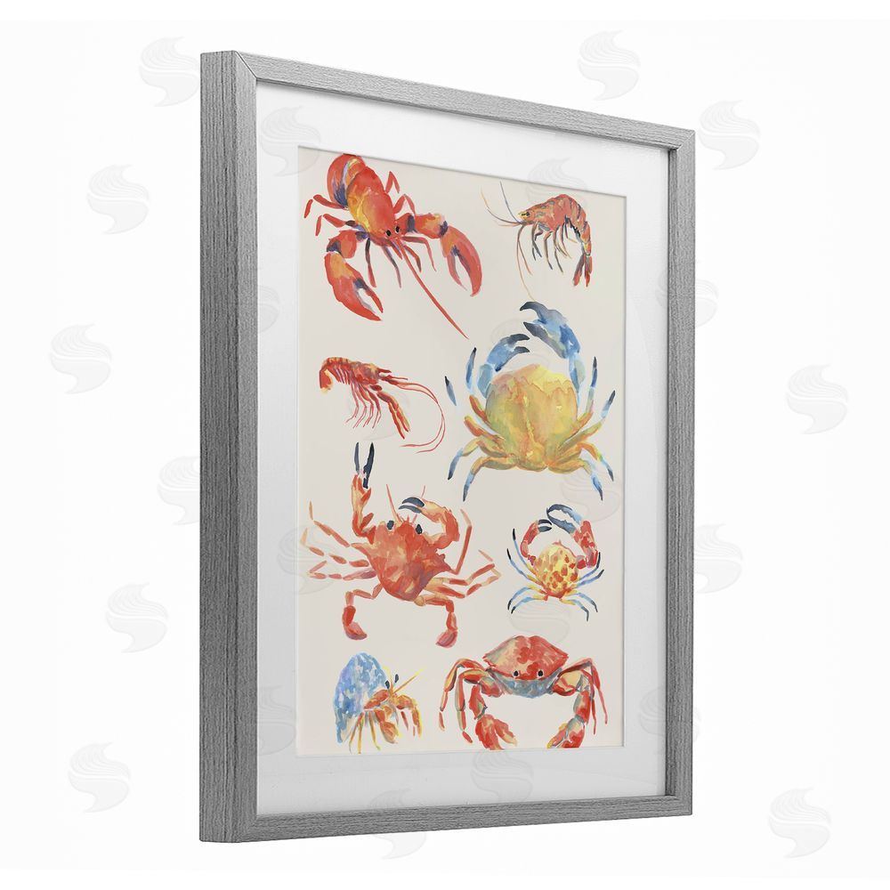 June Erica Vess Crab & Crustacean Collection Gray Framed Print Under Glass Wall Art