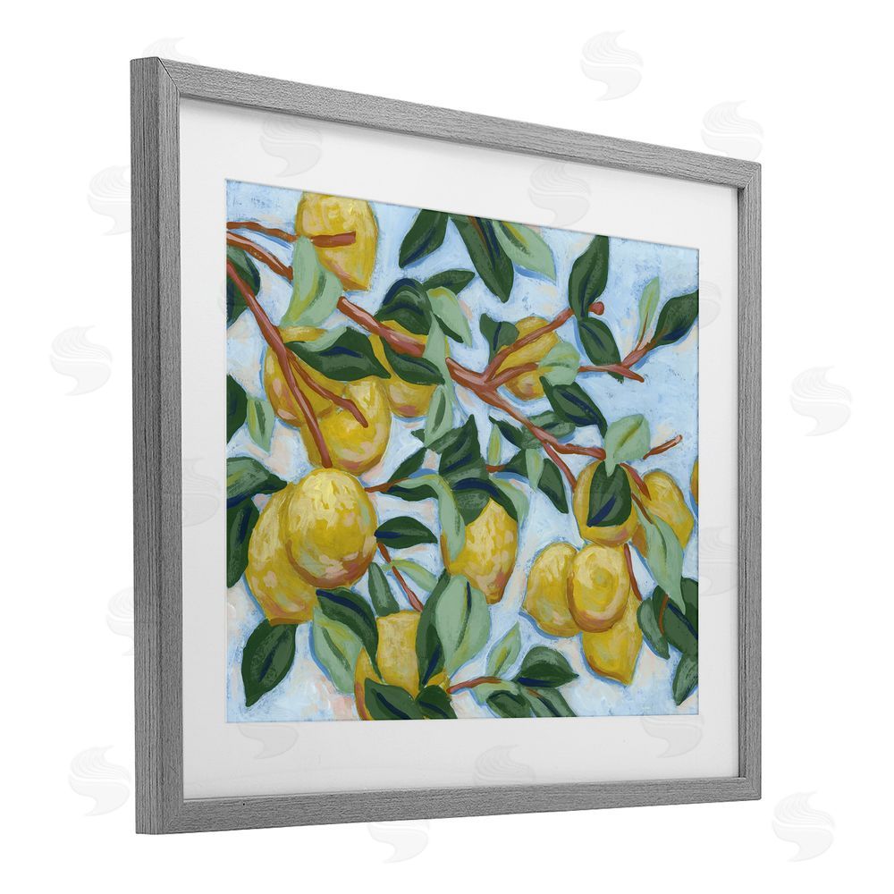 June Erica Vess Sunshine Citrus Tree Gray Framed Print Under Glass Wall Art
