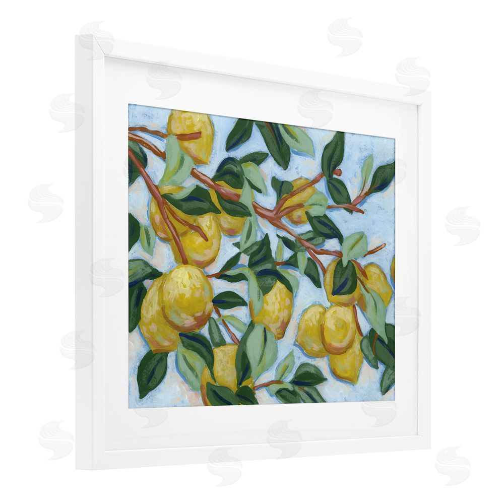 June Erica Vess Sunshine Citrus Tree White Framed Print Under Glass Wall Art
