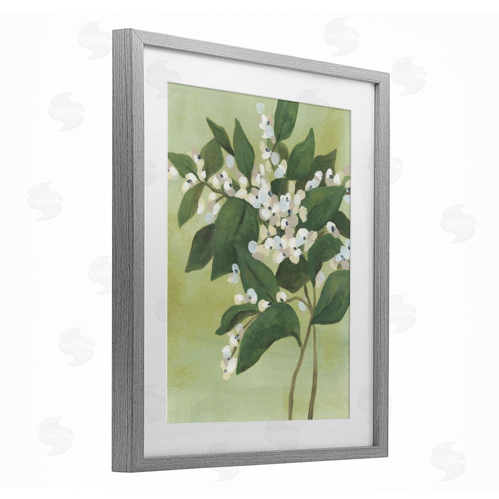 June Erica Vess Verdant Branch Bloom Gray Framed Print Under Glass Wall Art