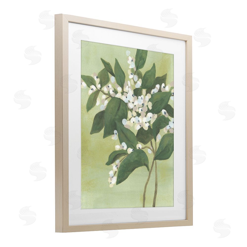 June Erica Vess Verdant Branch Bloom Brown Framed Print Under Glass Wall Art