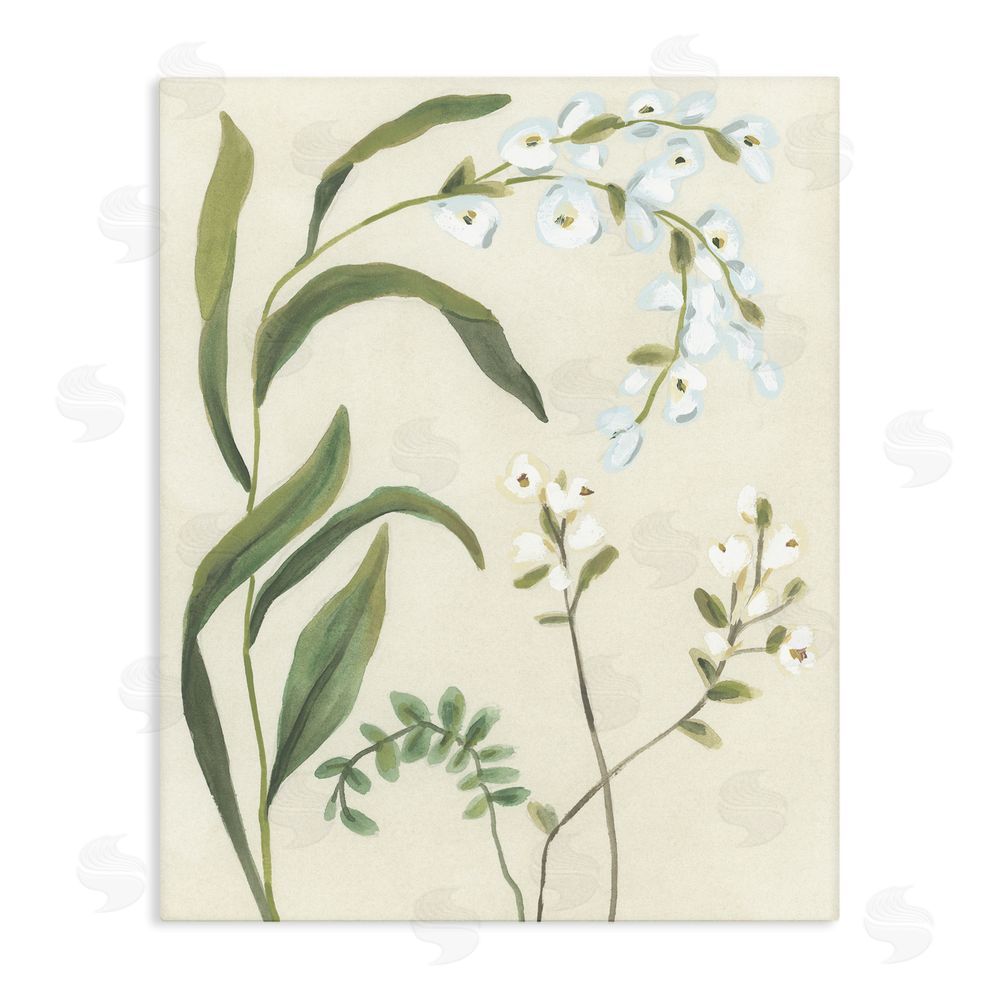 June Erica Vess Soft Snowdrop Stems Stretched Canvas Wall Art Print