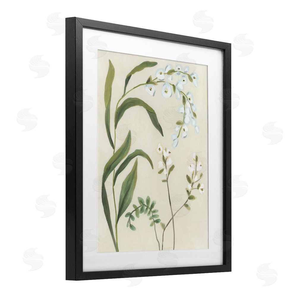 June Erica Vess Soft Snowdrop Stems Black Framed Print Under Glass Wall Art