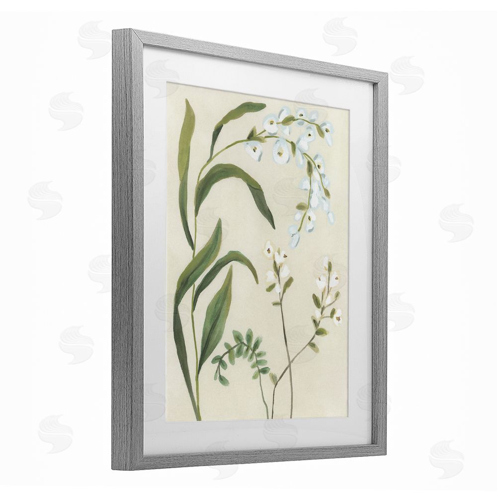 June Erica Vess Soft Snowdrop Stems Gray Framed Print Under Glass Wall Art