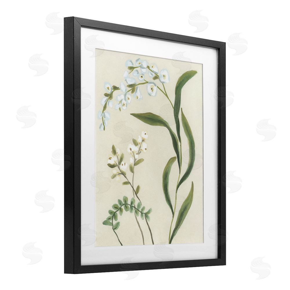 June Erica Vess Neutral Snowdrop Stems Black Framed Print Under Glass Wall Art