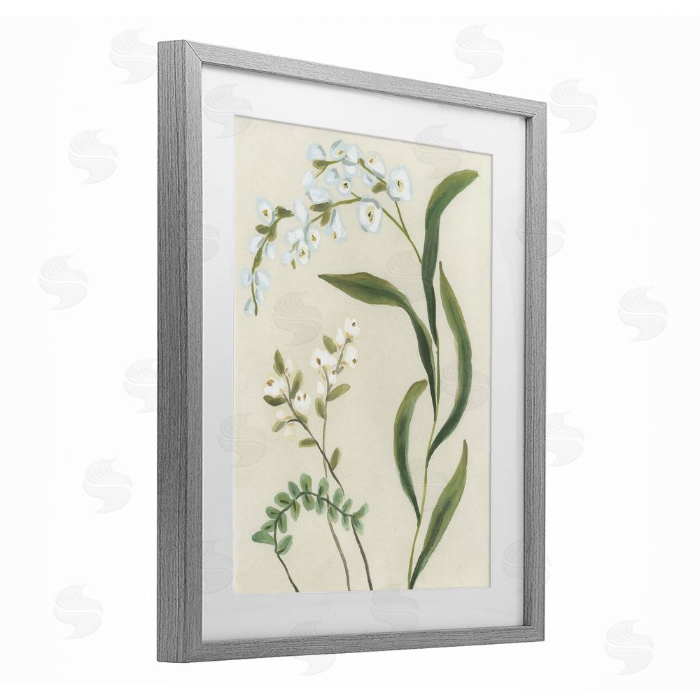 June Erica Vess Neutral Snowdrop Stems Gray Framed Print Under Glass Wall Art