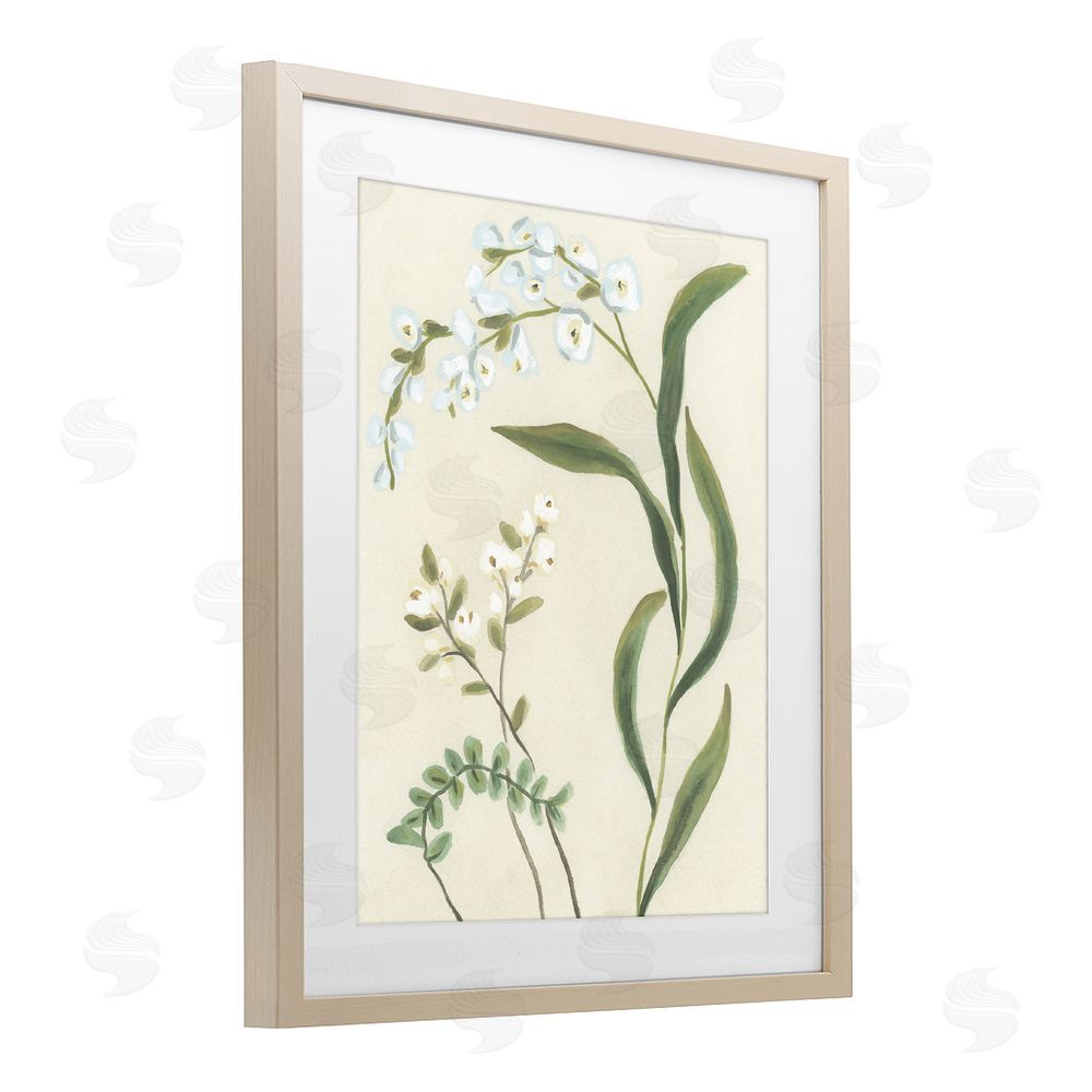 June Erica Vess Neutral Snowdrop Stems Brown Framed Print Under Glass Wall Art