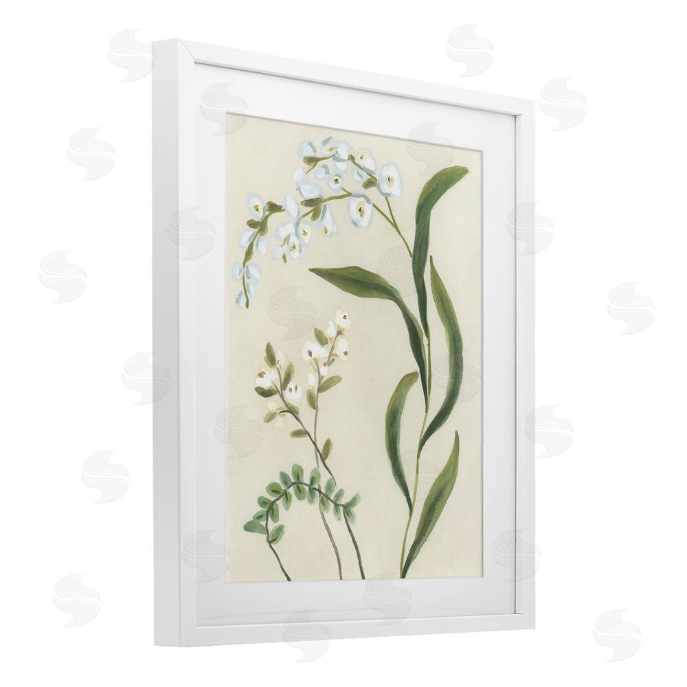 June Erica Vess Neutral Snowdrop Stems White Framed Print Under Glass Wall Art