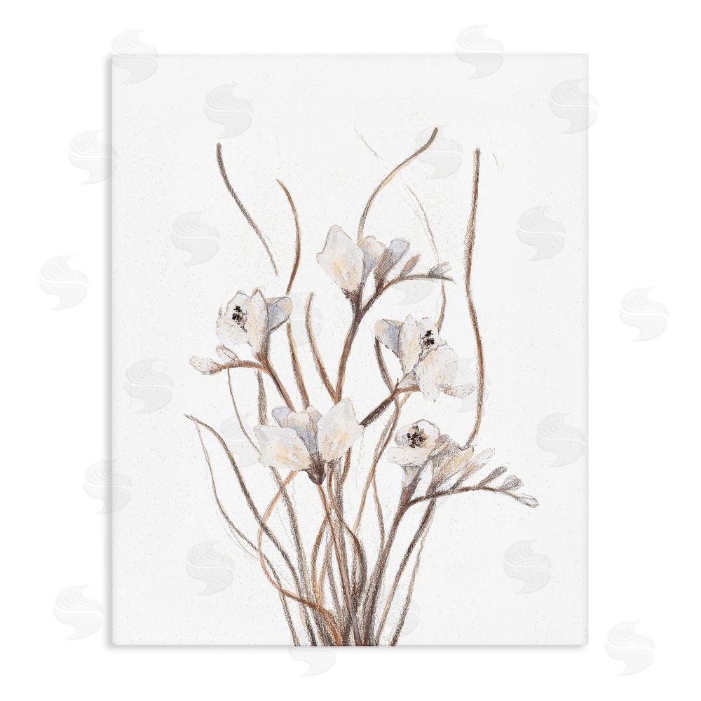 Sundance Graphics Curly Branches on White Canvas Wall Art Print