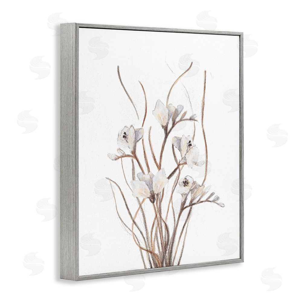 Sundance Graphics Curly Branches on White Gray Framed Giclee Wall Art Print