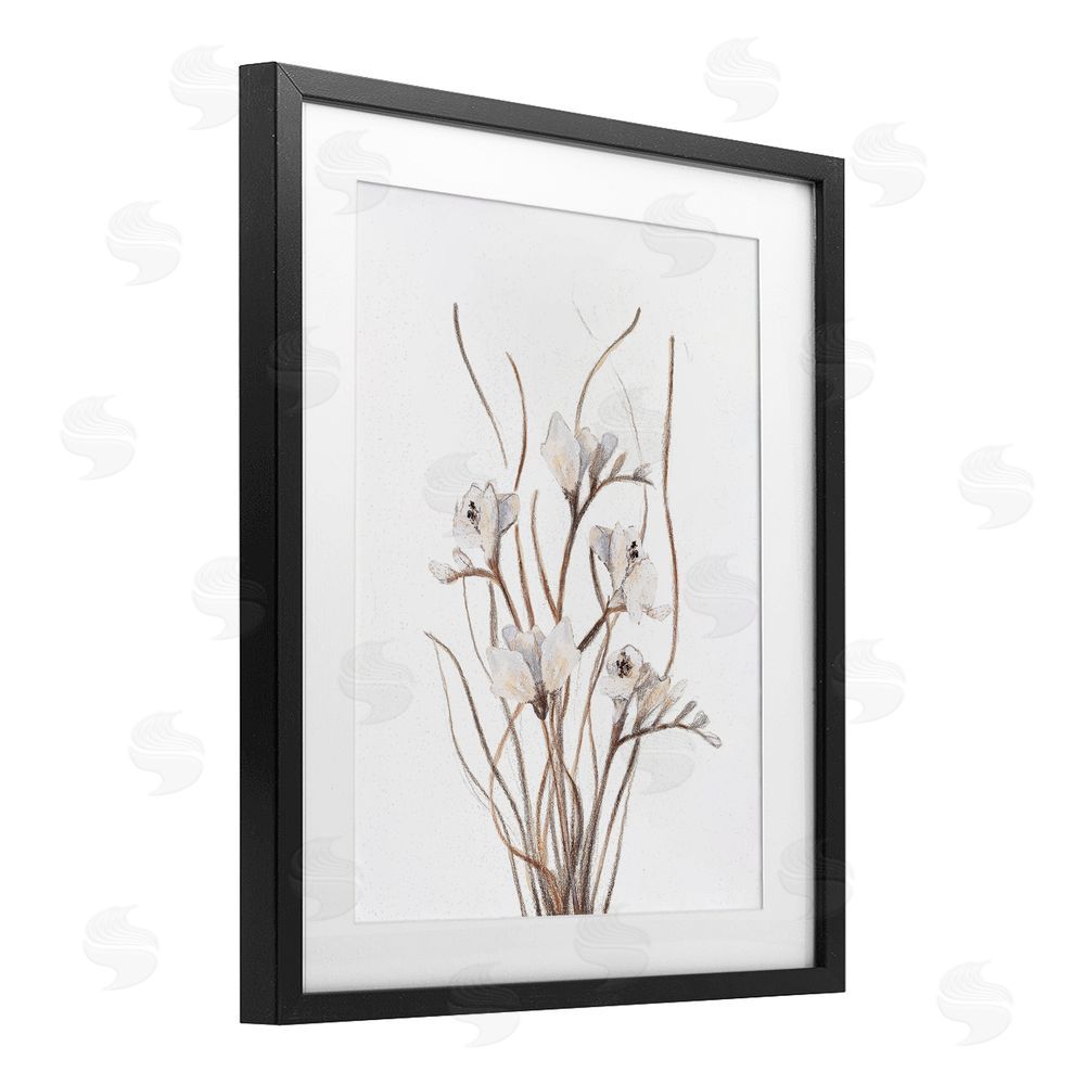 Sundance Graphics Curly Branches on White Black Framed Print Under Glass Wall Art