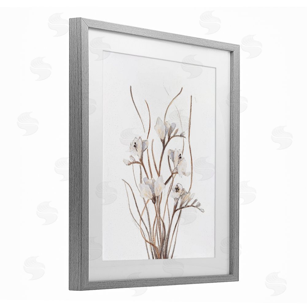 Sundance Graphics Curly Branches on White Gray Framed Print Under Glass Wall Art