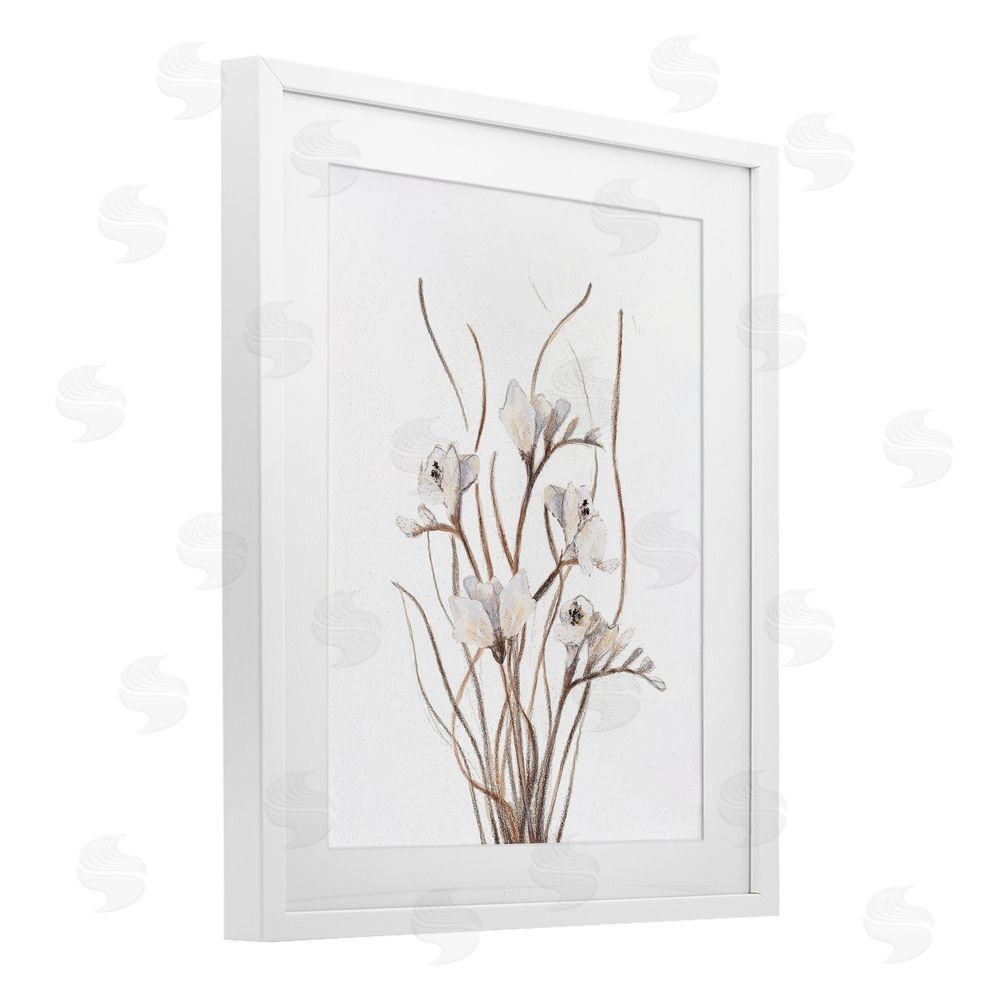 Sundance Graphics Curly Branches on White White Framed Print Under Glass Wall Art