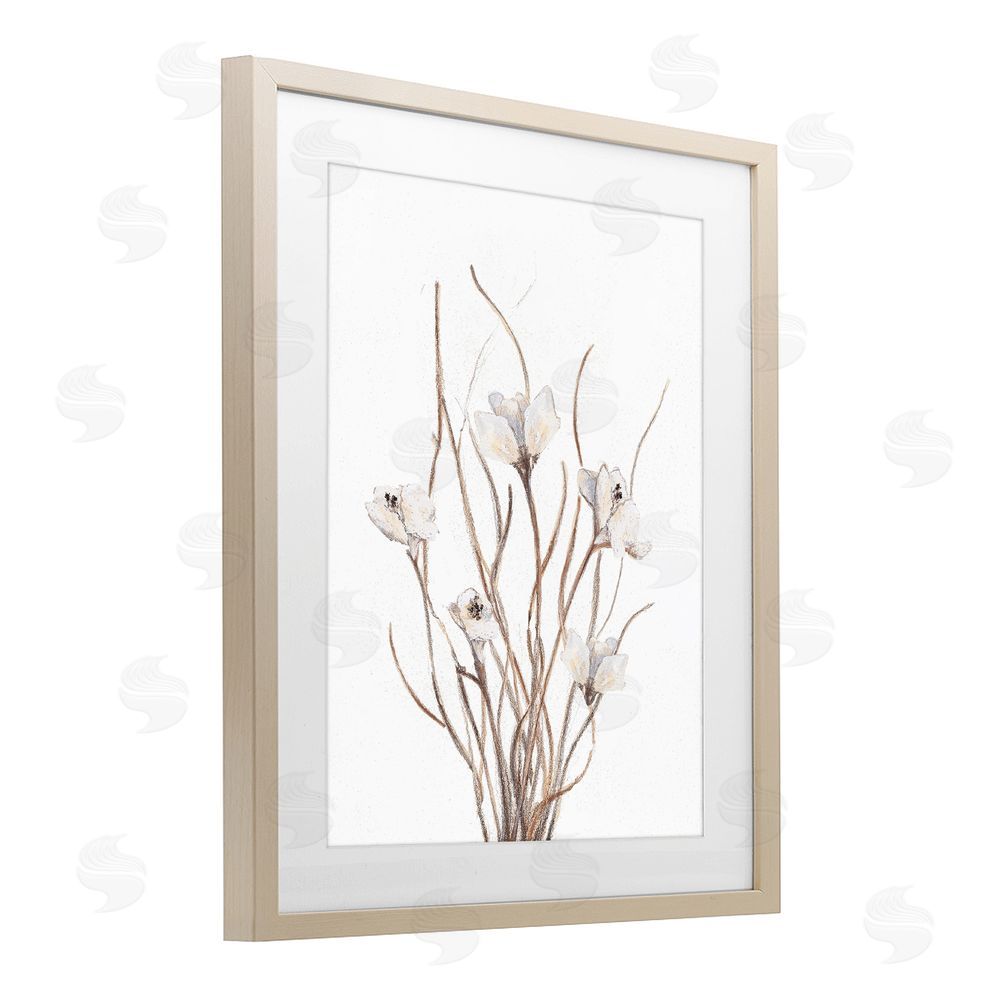 Sundance Graphics Curly Floral Branches Birch Framed Print Under Glass Wall Art