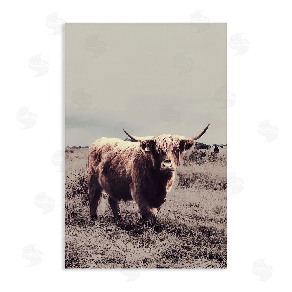 Sundance Graphics Horned Cattle in Pasture Canvas Wall Art Print