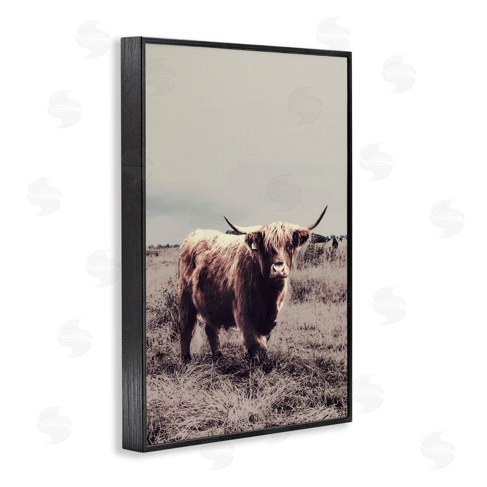 Sundance Graphics Horned Cattle in Pasture Black Framed Giclee Wall Art Print