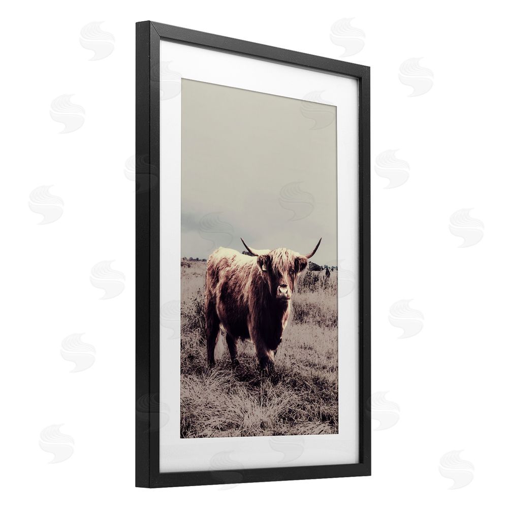 Sundance Graphics Horned Cattle in Pasture Black Framed Print Under Glass Wall Art