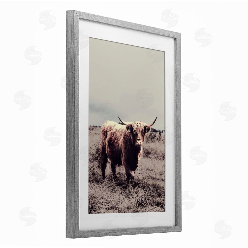 Sundance Graphics Horned Cattle in Pasture Gray Framed Print Under Glass Wall Art