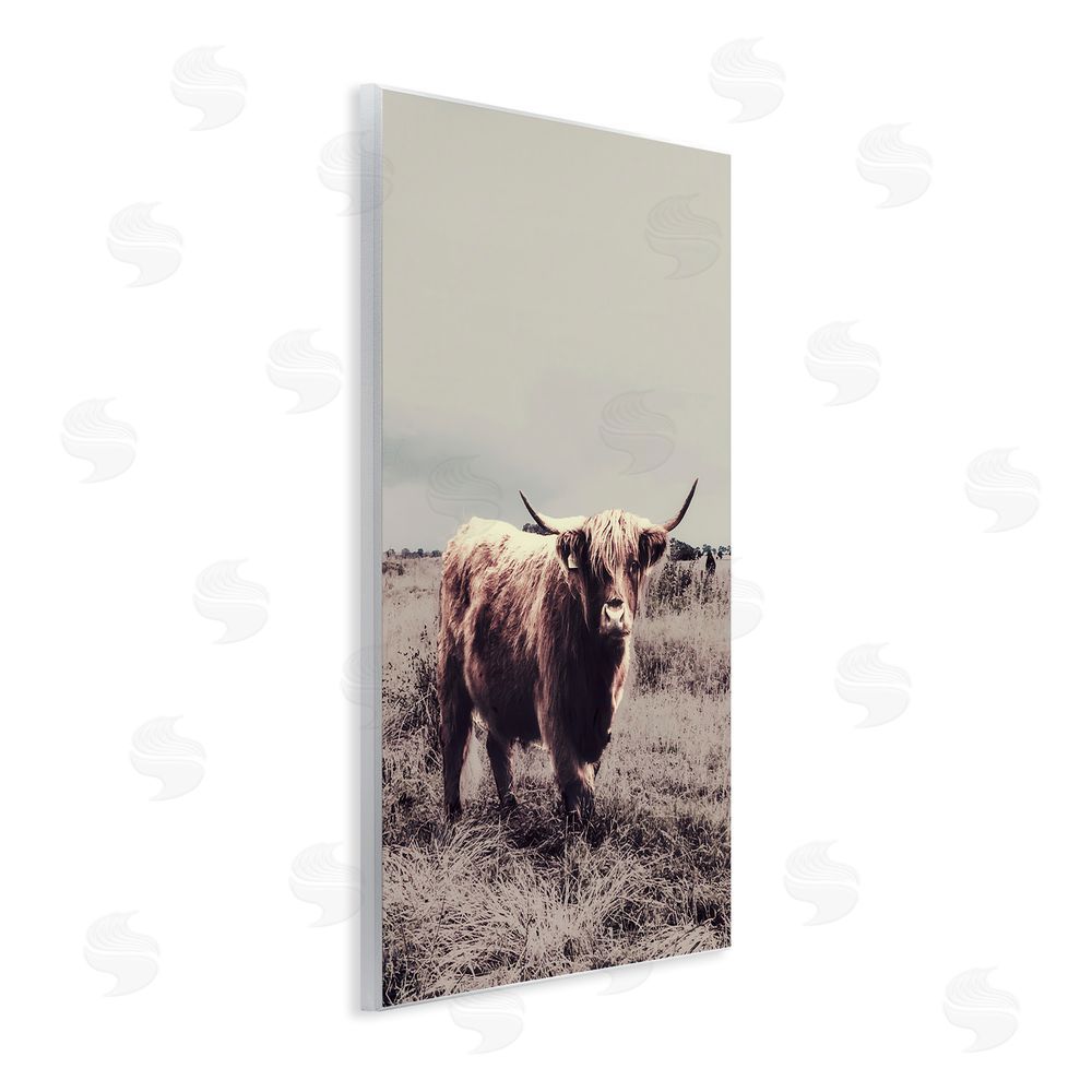 Sundance Graphics Horned Cattle in Pasture Wall Plaque Printed Art