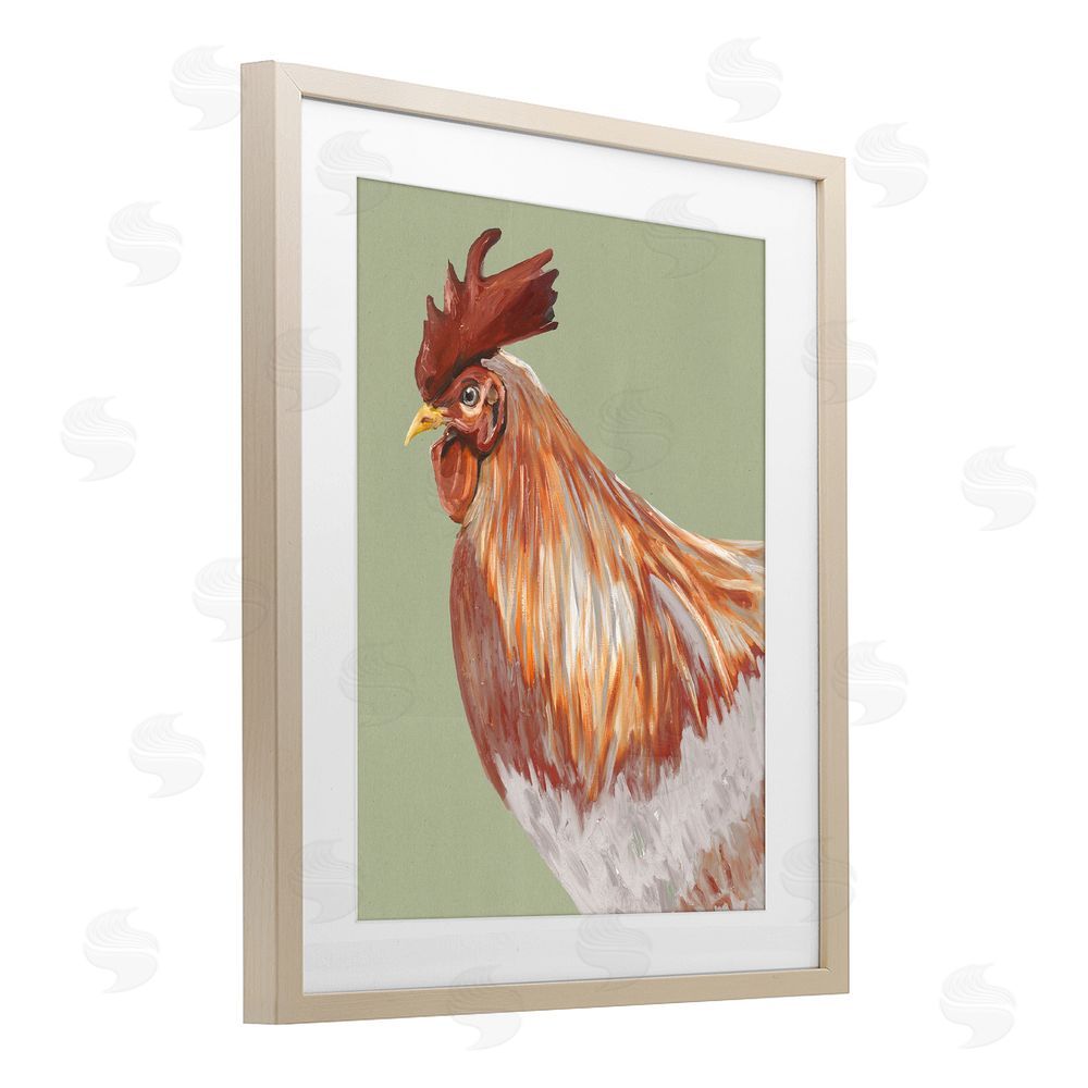 Sundance Graphics Gallant Rooster Portrait Birch Framed Print Under Glass Wall Art
