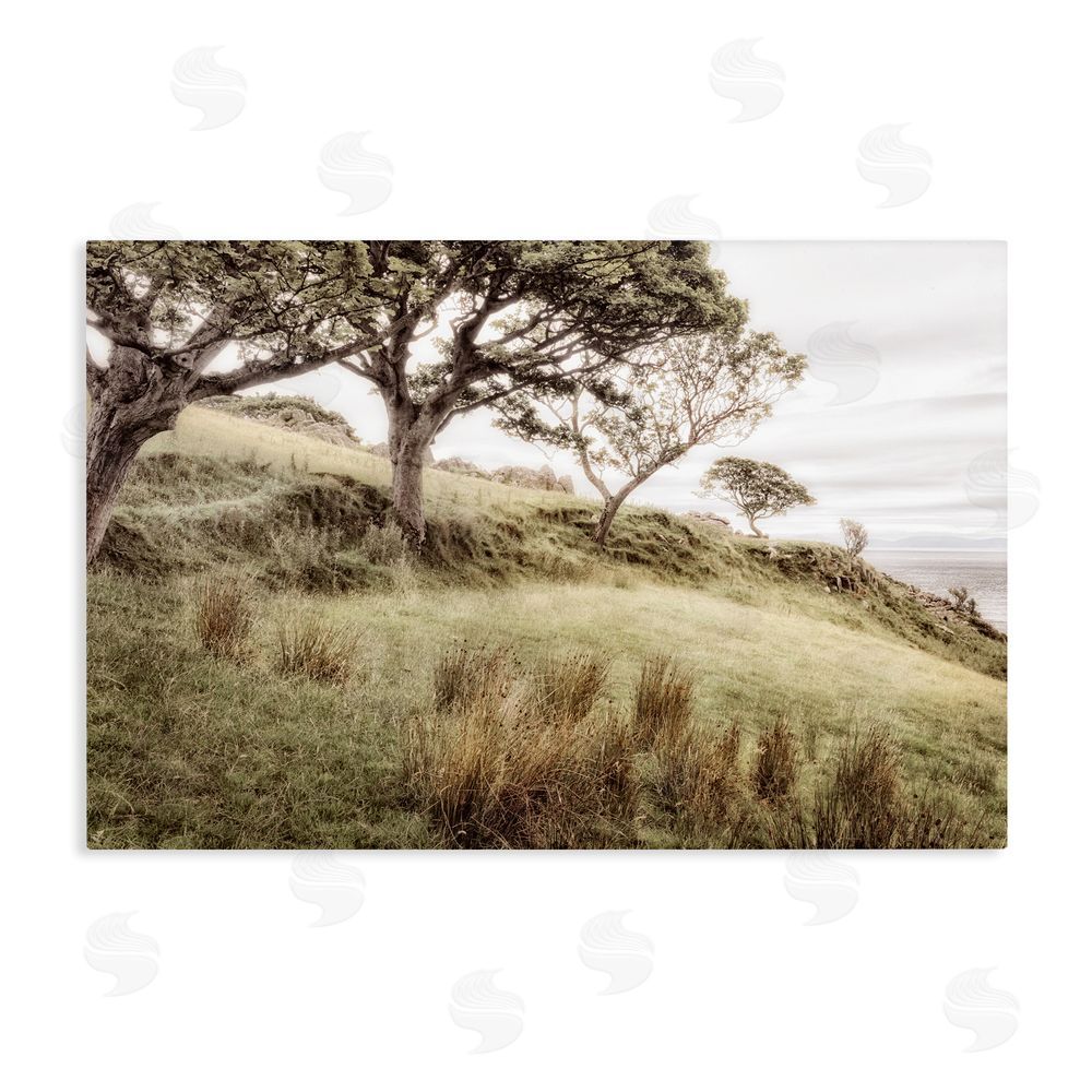 Sundance Graphics Irish Hillside Landscape Canvas Wall Art Print