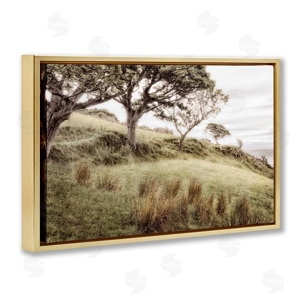 Sundance Graphics Irish Hillside Landscape Gold Floating Frame Canvas Wall Art Print