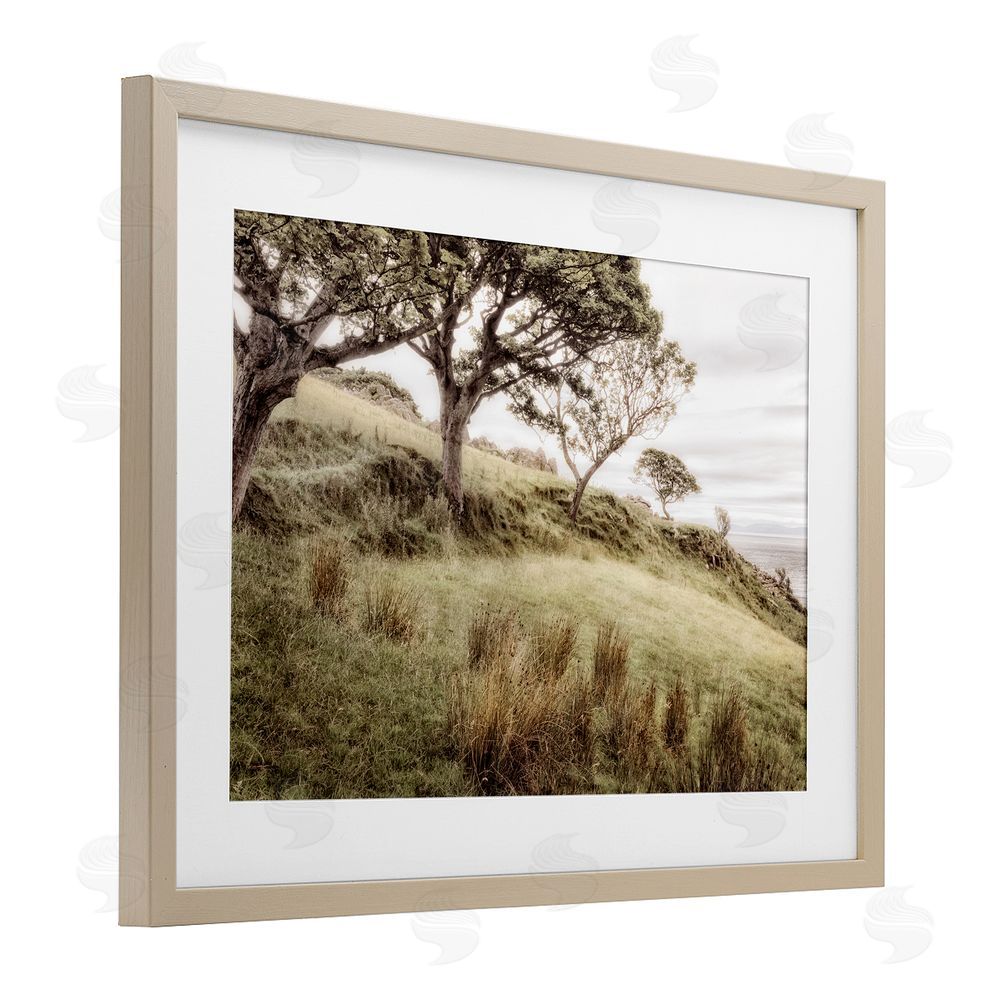 Sundance Graphics Irish Hillside Landscape Birch Framed Print Under Glass Wall Art