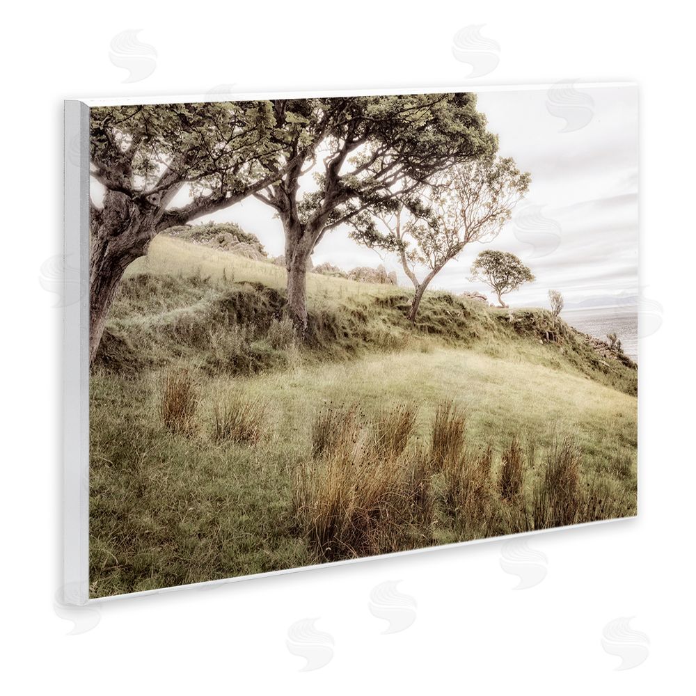 Sundance Graphics Irish Hillside Landscape Wall Plaque Printed Art