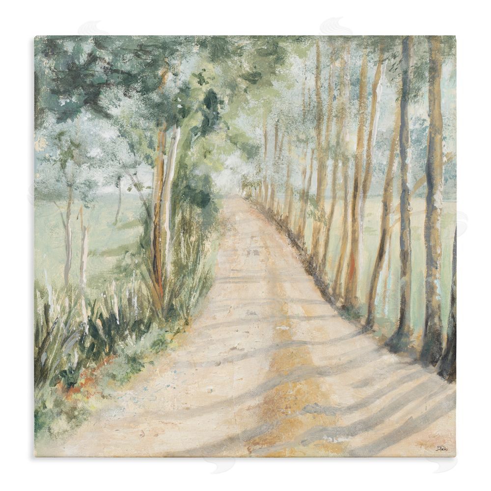 Sundance Graphics Camino A Casa Pathway Canvas Wall Art Print