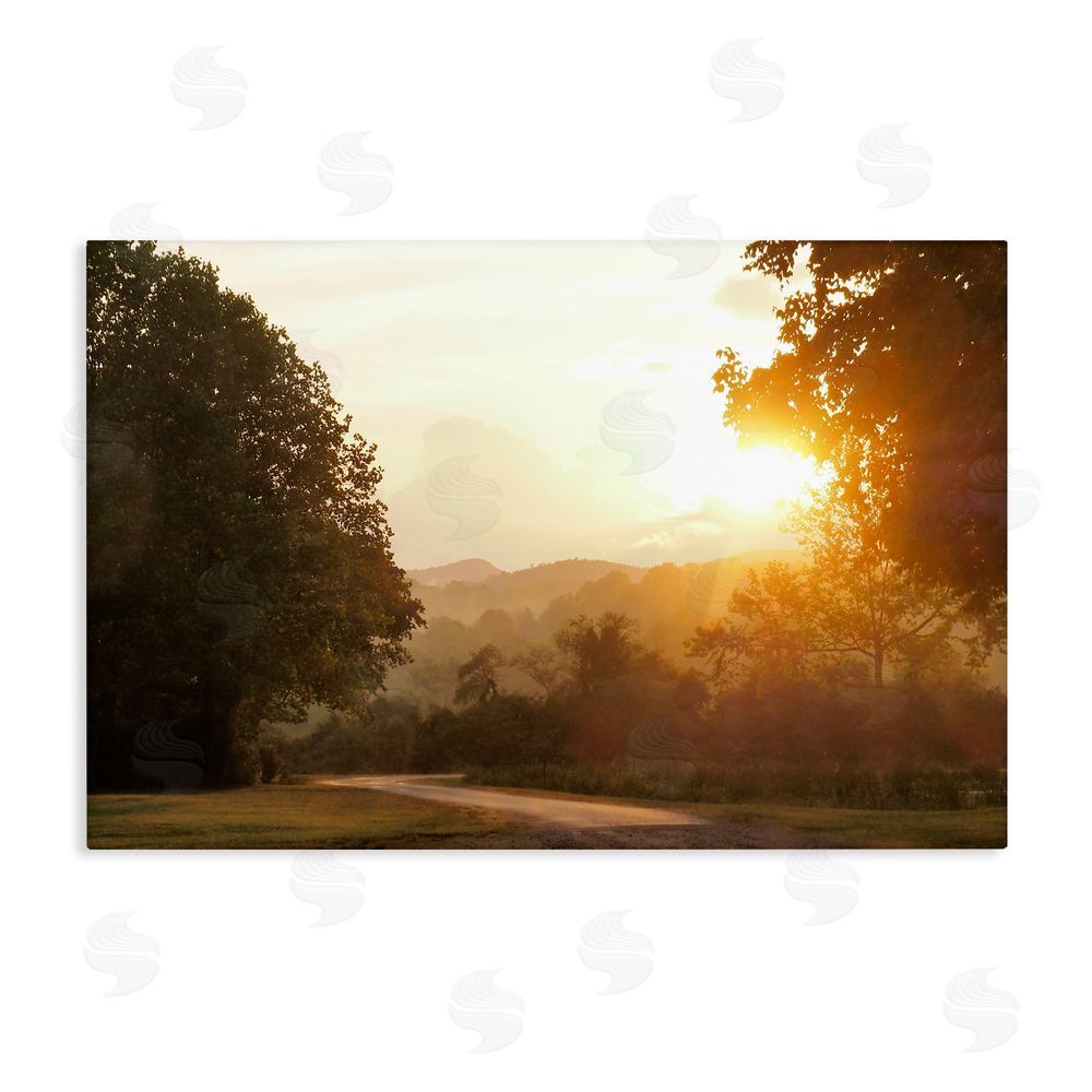 Sundance Graphics Golden Morning Between Trees Canvas Wall Art Print