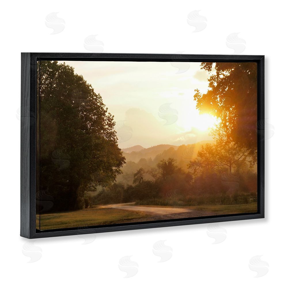 Sundance Graphics Golden Morning Between Trees Black Floating Frame Canvas Wall Art Print