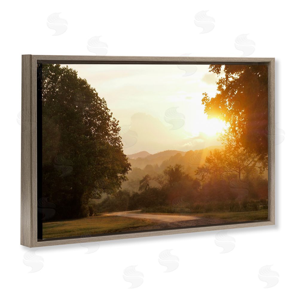 Sundance Graphics Golden Morning Between Trees Brown Floating Frame Canvas Wall Art Print