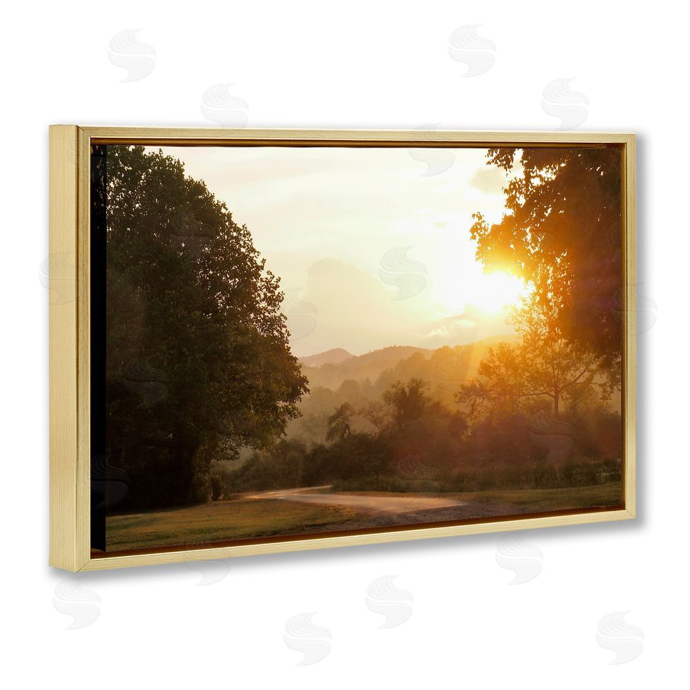 Sundance Graphics Golden Morning Between Trees Gold Floating Frame Canvas Wall Art Print