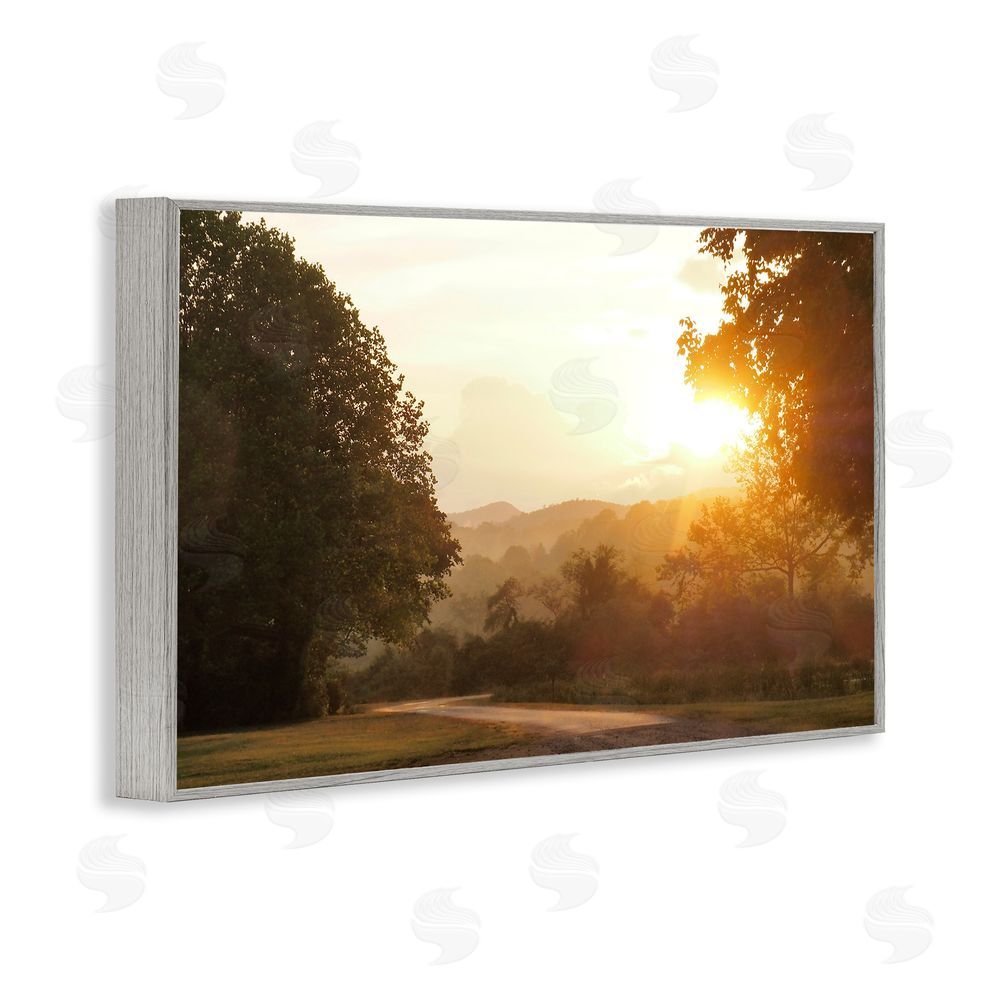 Sundance Graphics Golden Morning Between Trees Gray Framed Giclee Wall Art Print