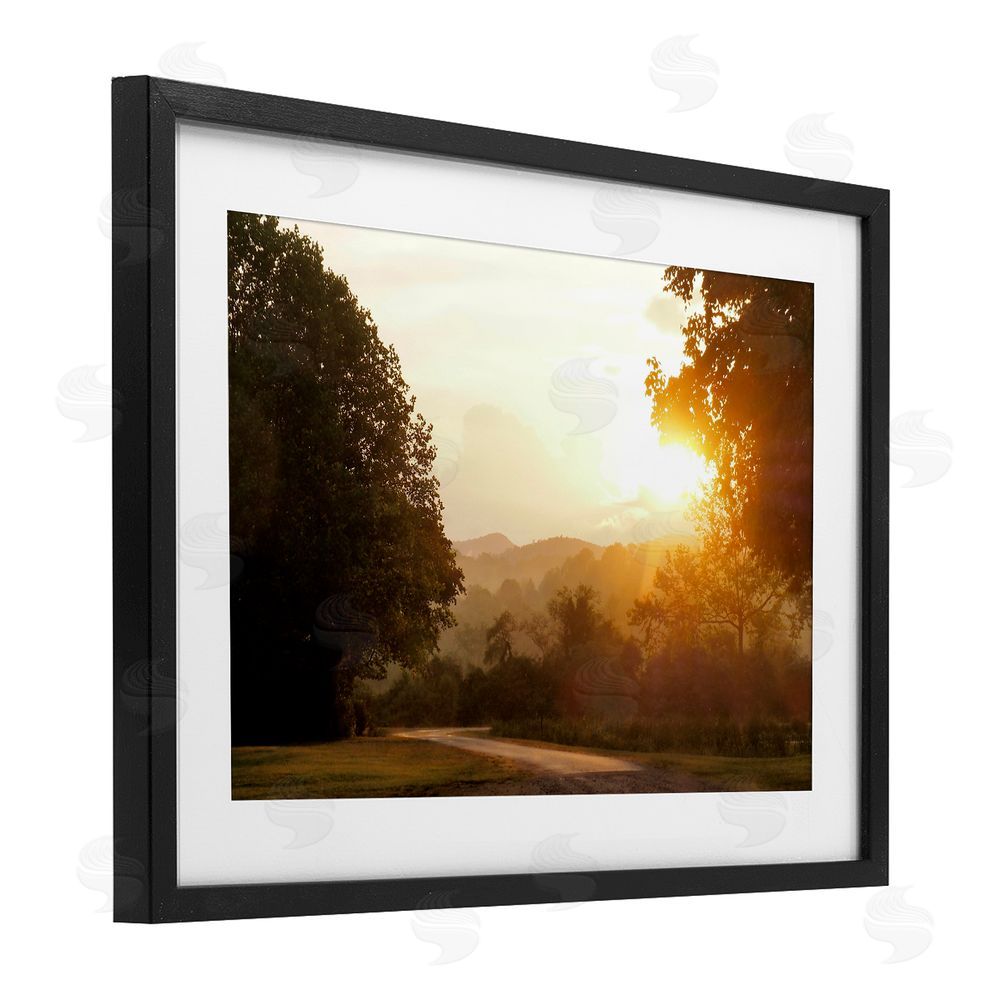 Sundance Graphics Golden Morning Between Trees Black Framed Print Under Glass Wall Art