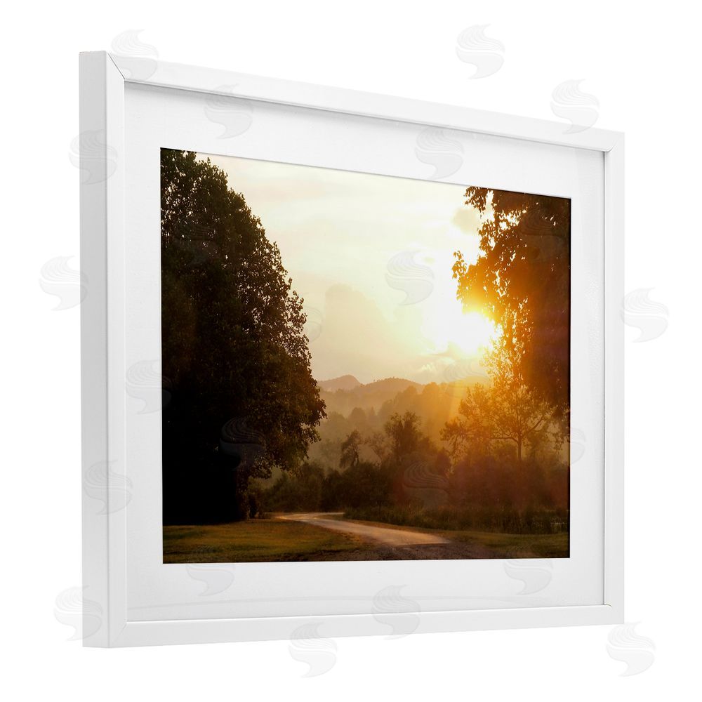 Sundance Graphics Golden Morning Between Trees White Framed Print Under Glass Wall Art