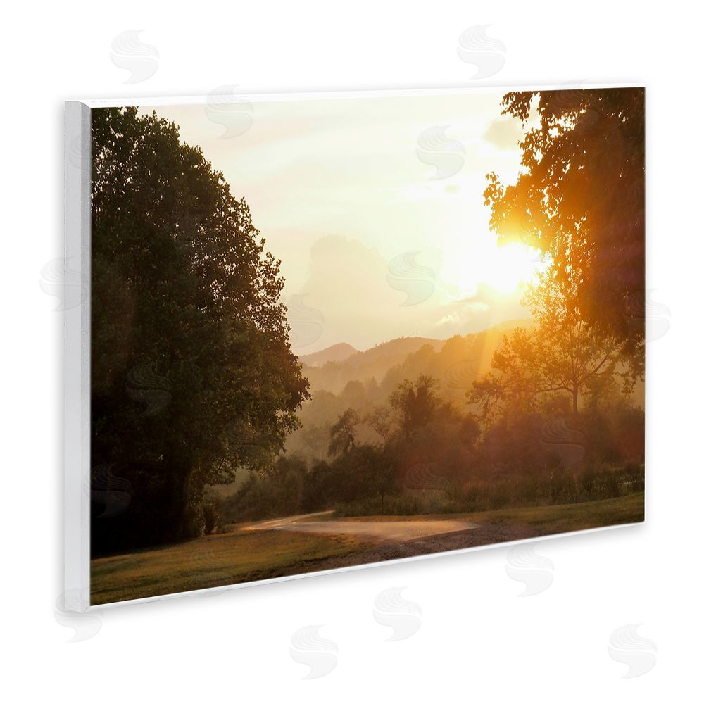 Sundance Graphics Golden Morning Between Trees Wall Plaque Printed Art