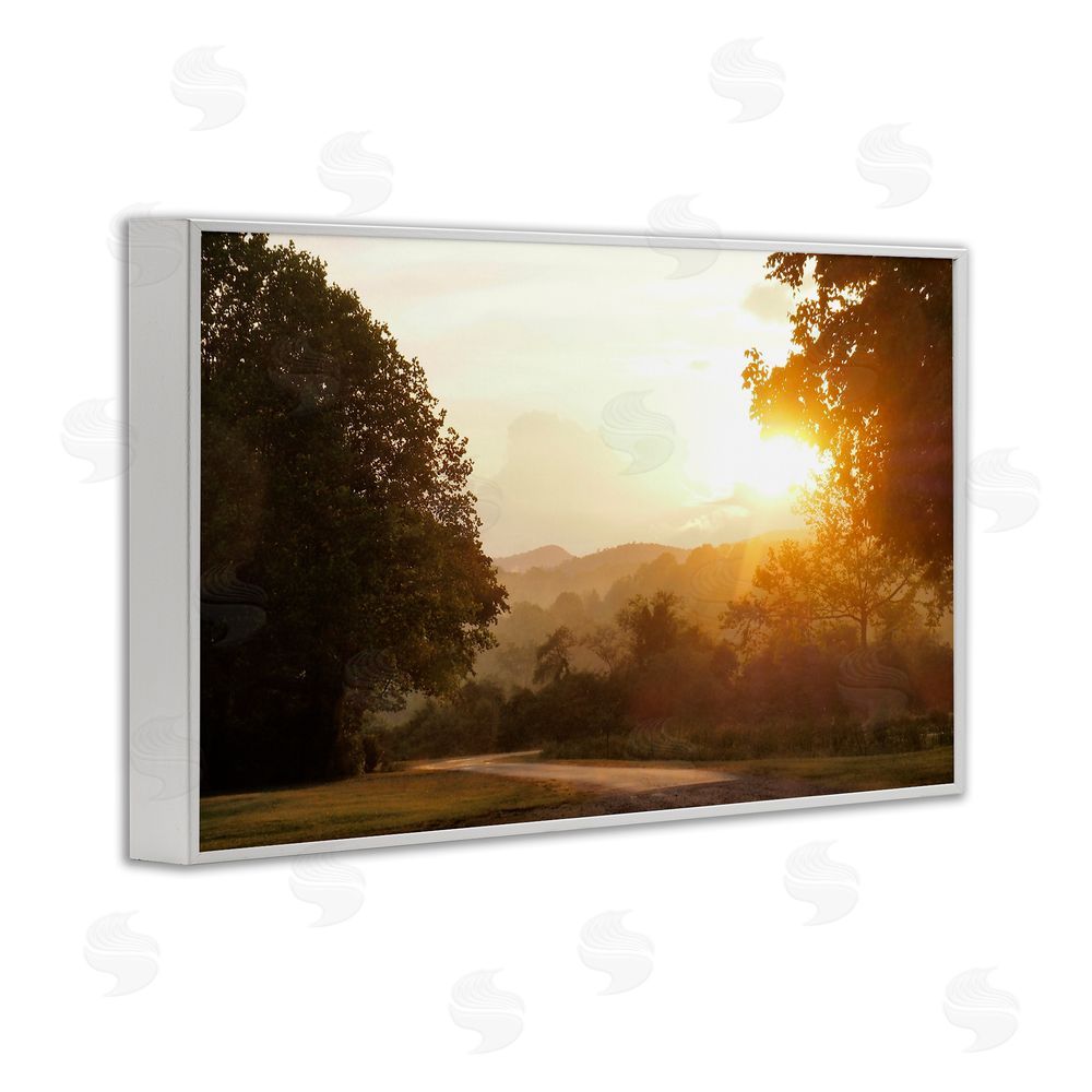 Sundance Graphics Golden Morning Between Trees White Framed Giclee Wall Art Print