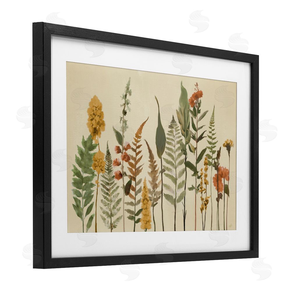 Sundance Graphics Fall Toned Botanics Black Framed Print Under Glass Wall Art